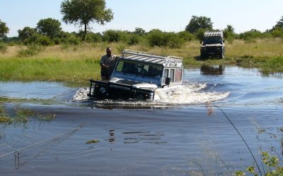 Det unike økosystemet i Okavango-deltaet